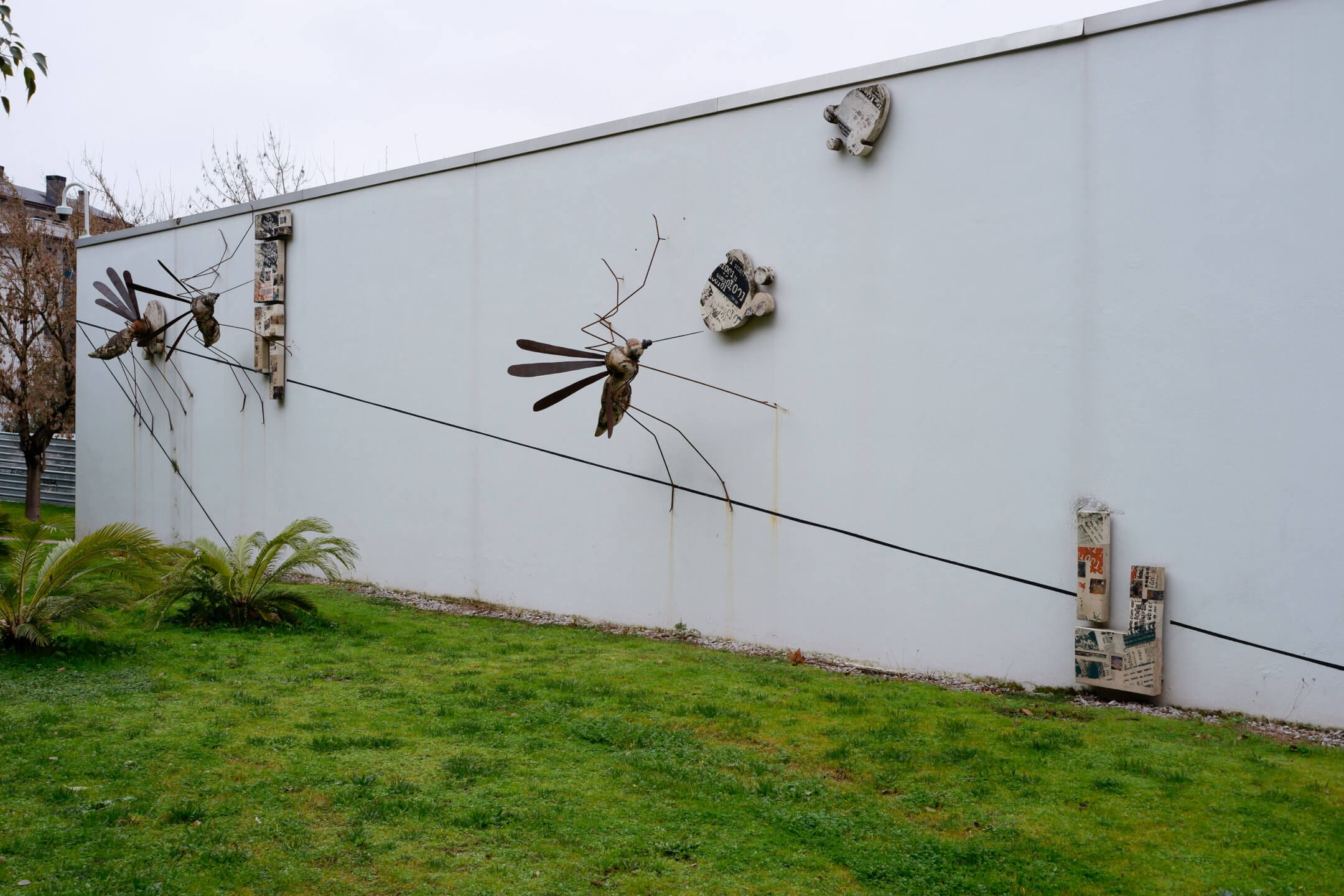 Formas naturales - Lasha Makharadz