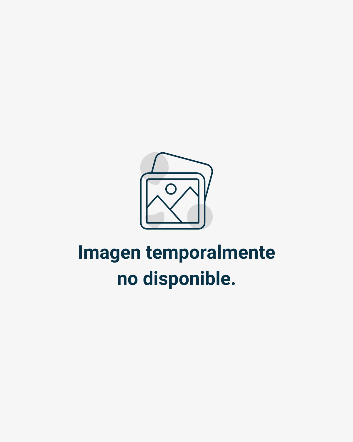 Imagen temporalmente no disponible